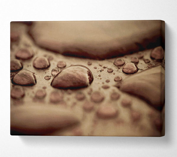 Chocolate Raindrop