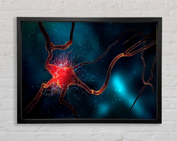 Neuron