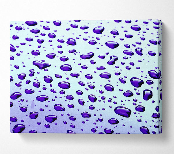 Purple Raindrops