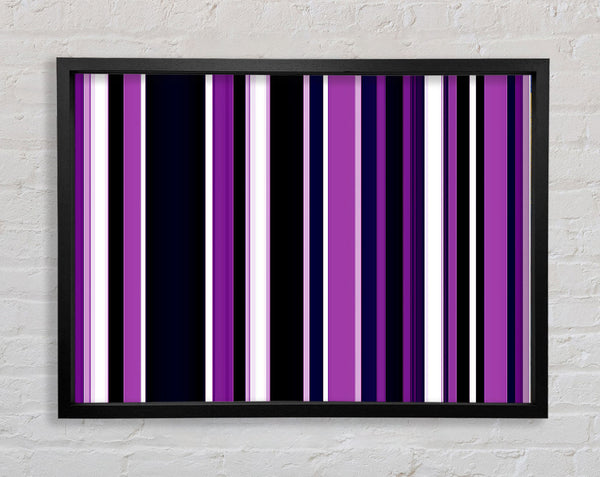 Purple Stripes