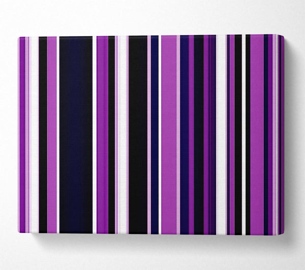 Purple Stripes