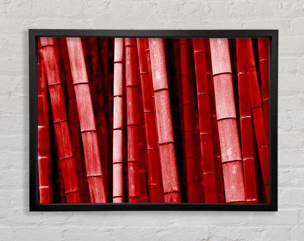 Red Bamboo