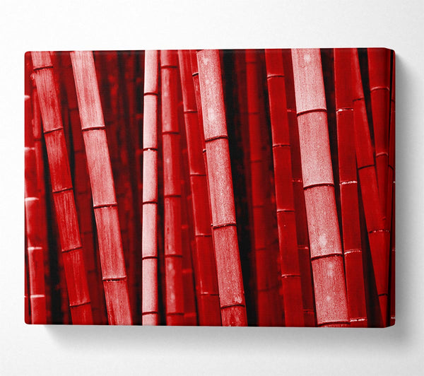 Red Bamboo