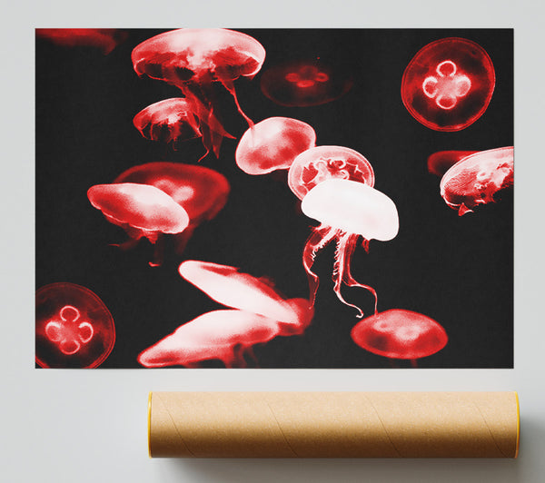 Red Neon Jellyfish