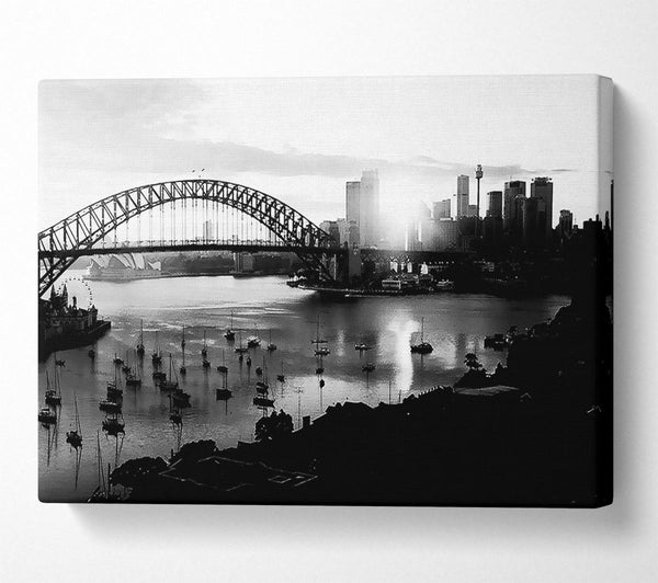 Sydney Harbour Sun Blaze B n W