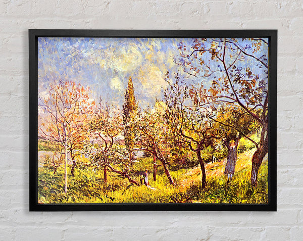 Sisley An Orchard In Spring