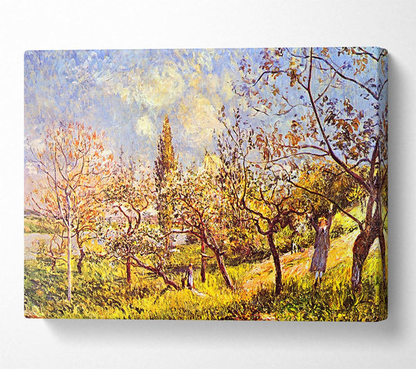 Sisley An Orchard In Spring