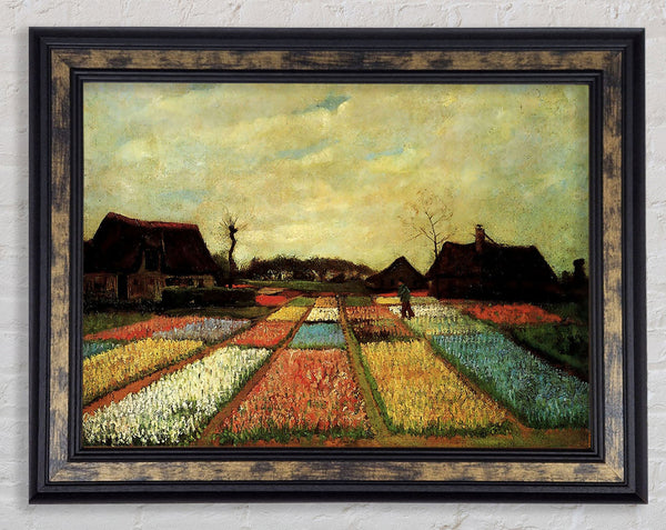 Van Gogh Bulb Fields