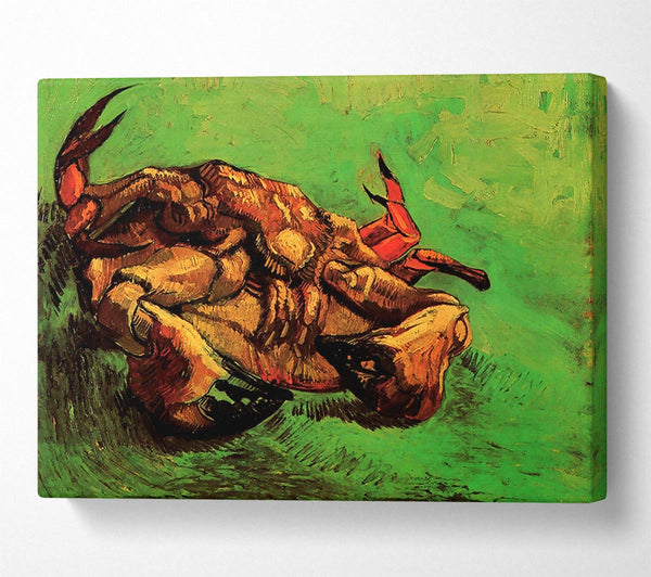 Van Gogh Crab On Its Back