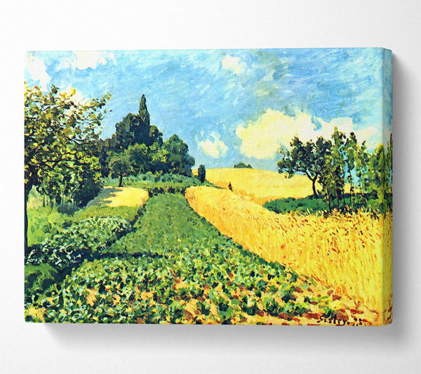 Sisley Grain Fields On The Hills Of Argenteuil