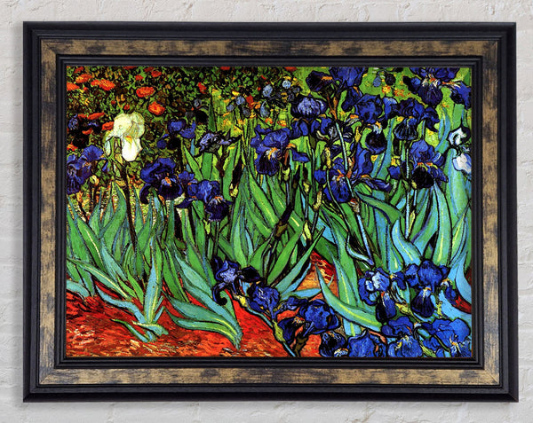 Van Gogh Irises 2