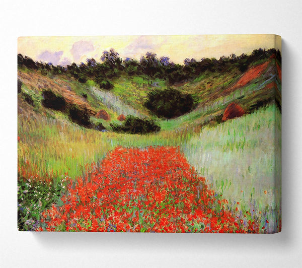 Monet Poppy Field Of Flowers In Giverny