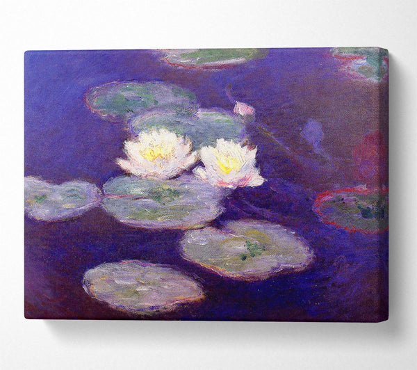 Monet Water Lily