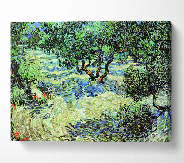 Van Gogh Olive Grove 2