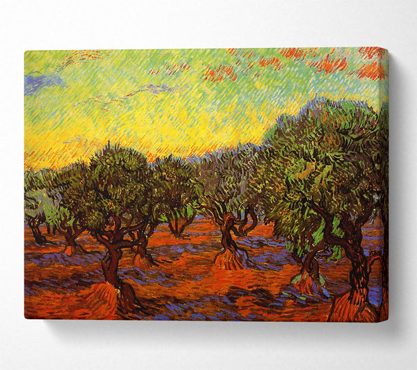 Van Gogh Olive Grove Orange Sky