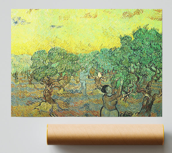 Van Gogh Olive Pickers In A Grove