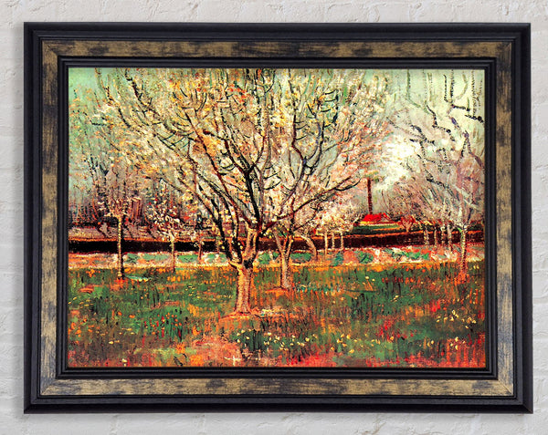 Van Gogh Orchard In Blossom Plum Trees