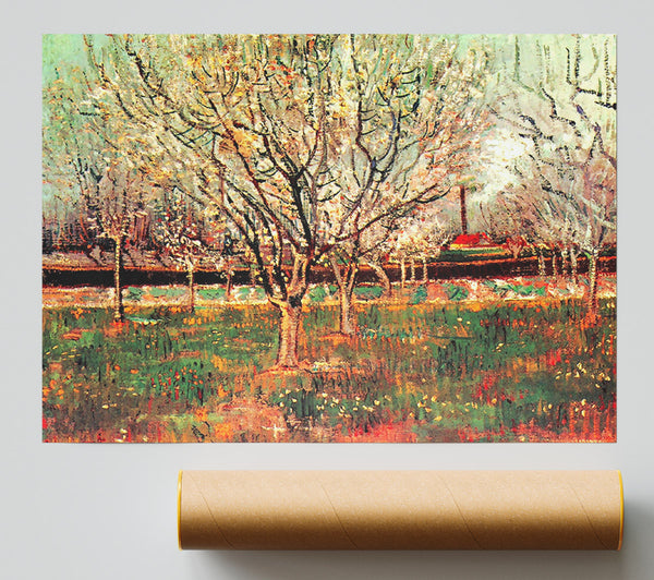 Van Gogh Orchard In Blossom Plum Trees