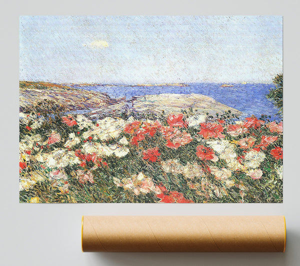 Hassam Poppies On The Isles Of Shoals