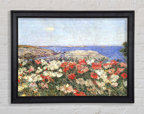 Hassam Poppies On The Isles Of Shoals