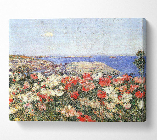 Hassam Poppies On The Isles Of Shoals