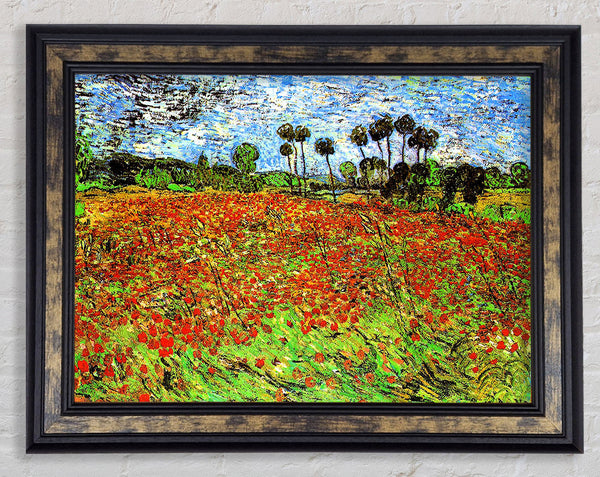 Van Gogh Poppy Fields