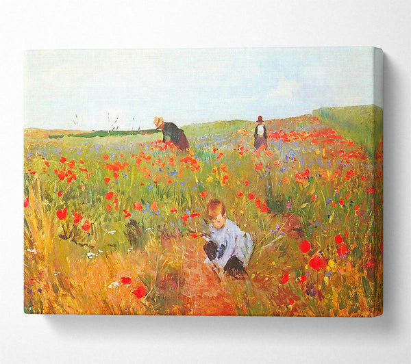 Cassatt Poppy In The Field