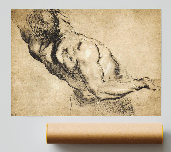 Rubens Study Of Mans Torso