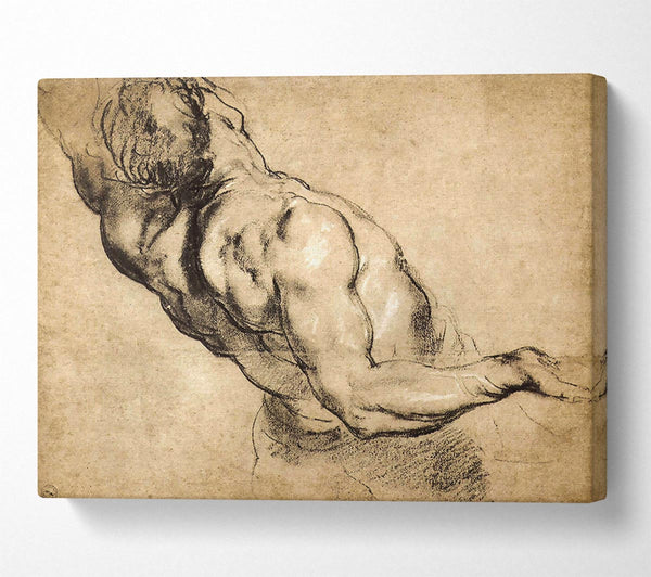 Rubens Study Of Mans Torso