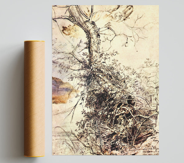 Rubens Study Of Tree