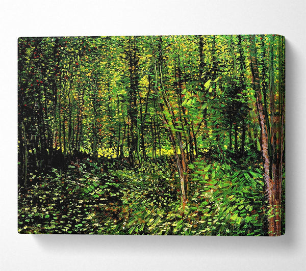 Van Gogh Trees And Undergrowth [2]