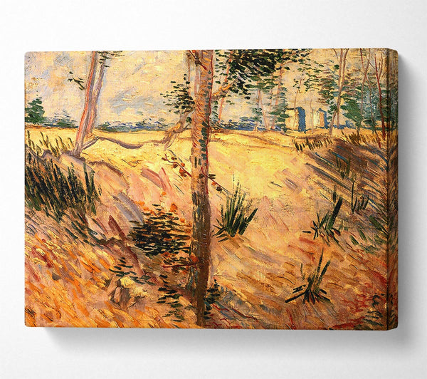 Van Gogh Trees In A Field On A Sunny Day