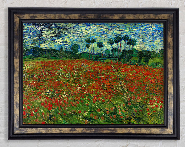 Van Gogh Poppy Field