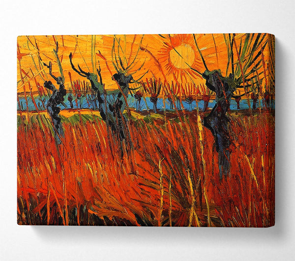 Van Gogh Willows At Sunset