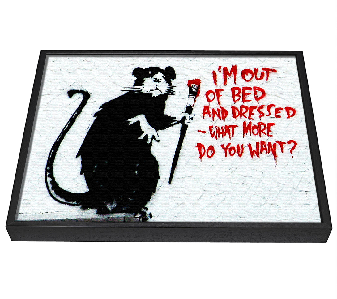 A picture of a Im Out Of Bed And Dressed What More Do You Want Rat framed canvas print sold by Wallart-Direct.co.uk