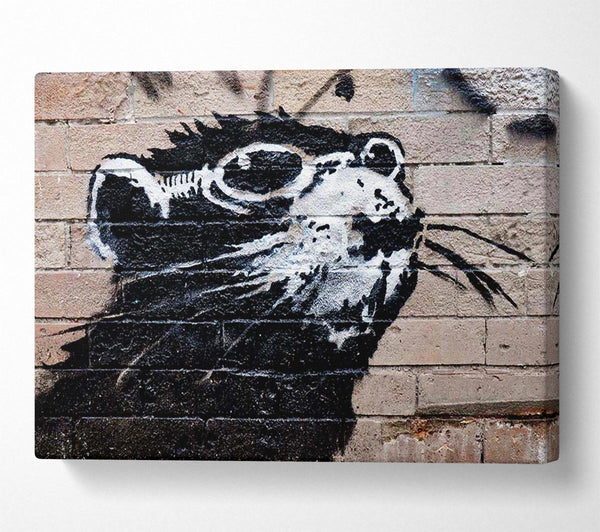 Banksy Rat Sunglasses