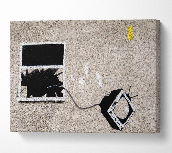 Banksy Tv Tantrum