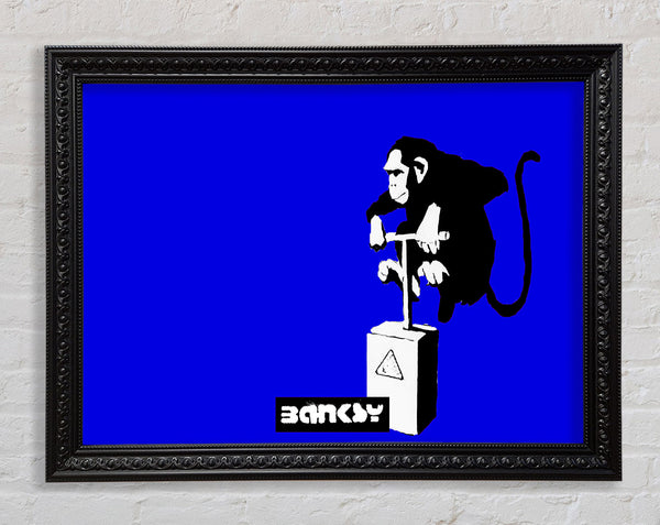 Monkey Detonator Blue