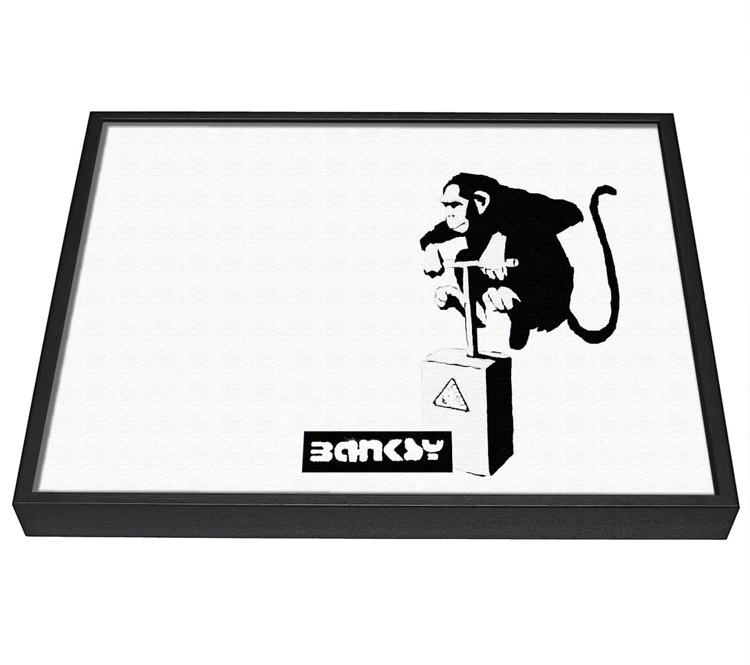 A picture of a Monkey Detonator White framed canvas print sold by Wallart-Direct.co.uk