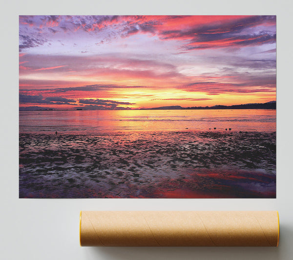 Pebbles In The Morning Sunrise