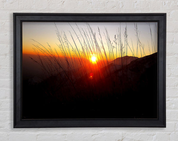 Dusk Through The Reeds