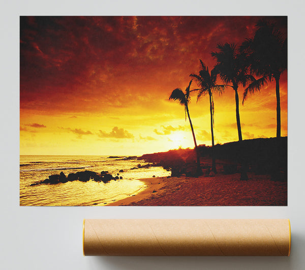 Caramel Palm Tree Sunset