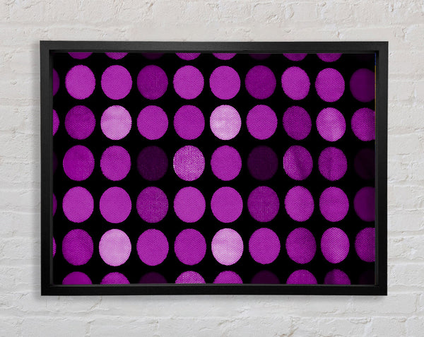 Purple Circles