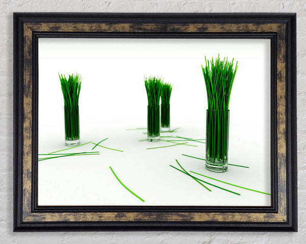 Wheat Glass Grass