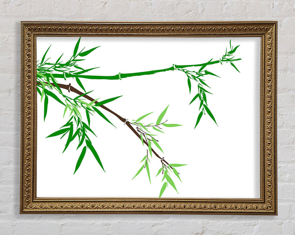 Bamboo Branches