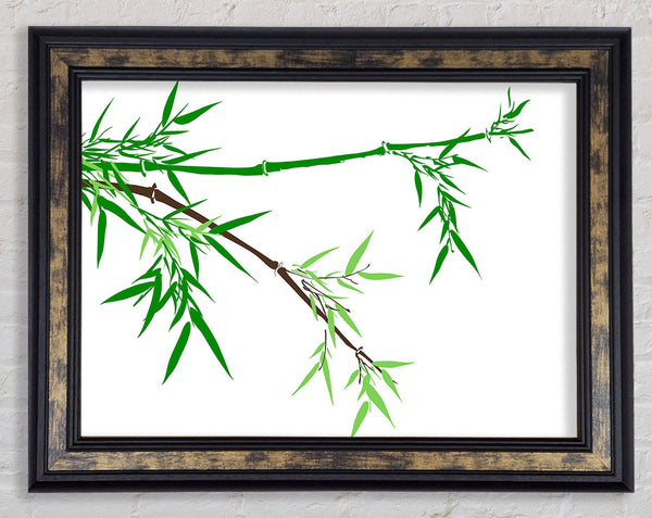 Bamboo Branches