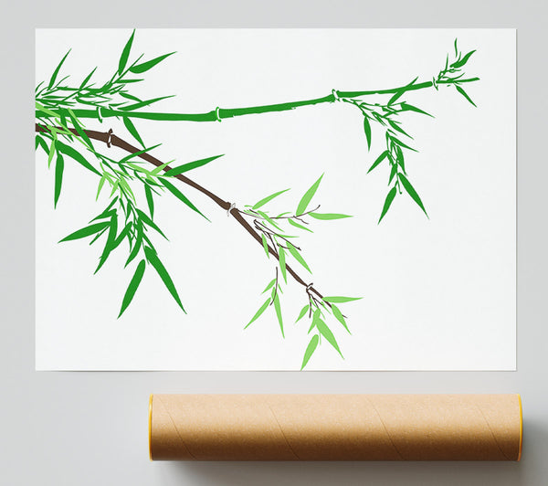 Bamboo Branches