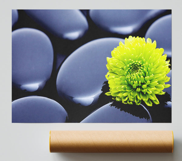 Black Zen Stones And A Yellow Mum