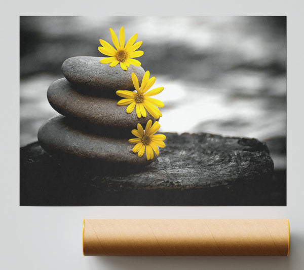 Zen Flowered Stones