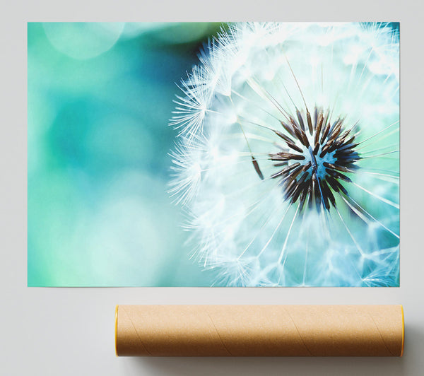 Dandelion Flower Wish